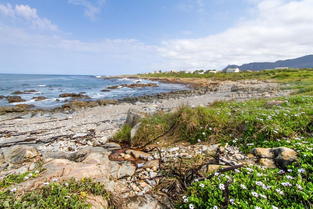 Schulphoek Seafront House Hermanus Eksteriør bilde The coast of the island of Ons